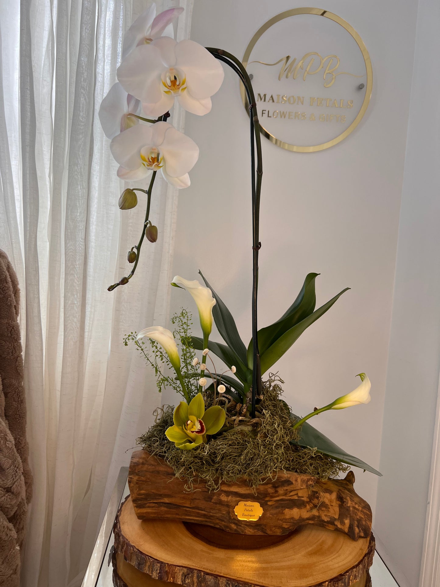 Orchid Woodland Still Life